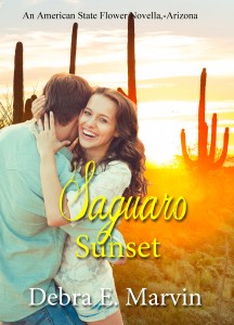 Saguaro Sunset 3 (2)